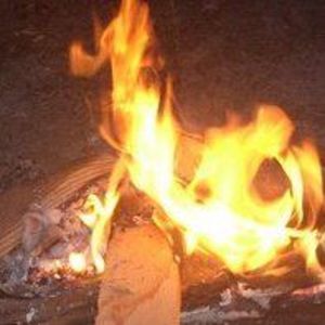 Meet your Posher, Bobby